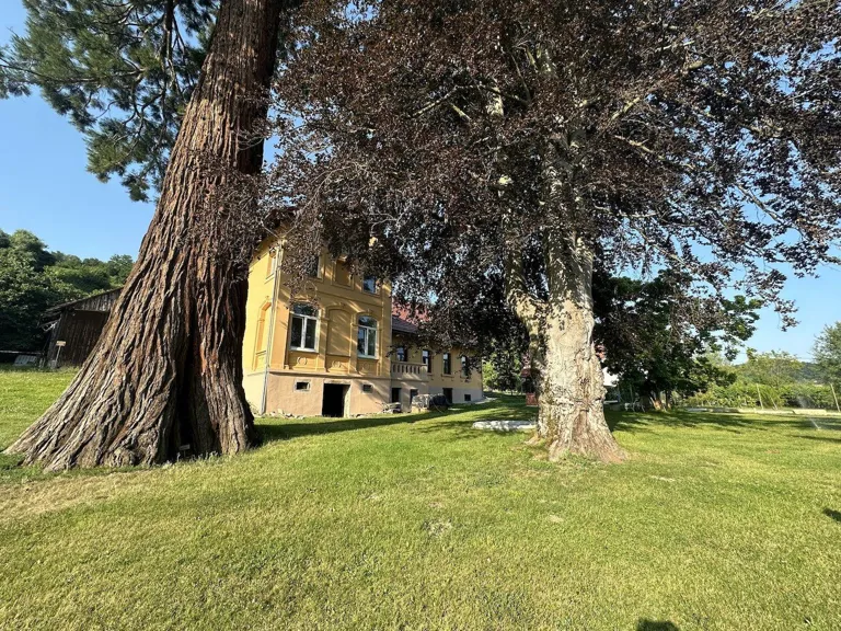 Fully Renovated Apartment with Garden in Ptuj