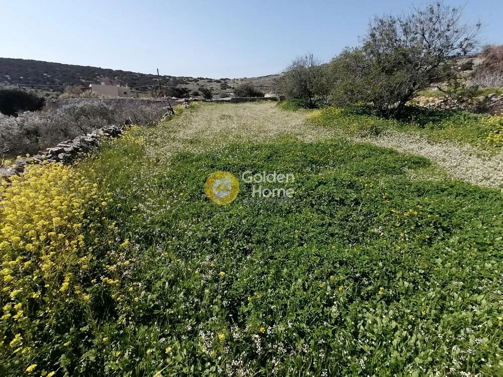Aed - Plot with Unrestricted View in Syros - Piskopi