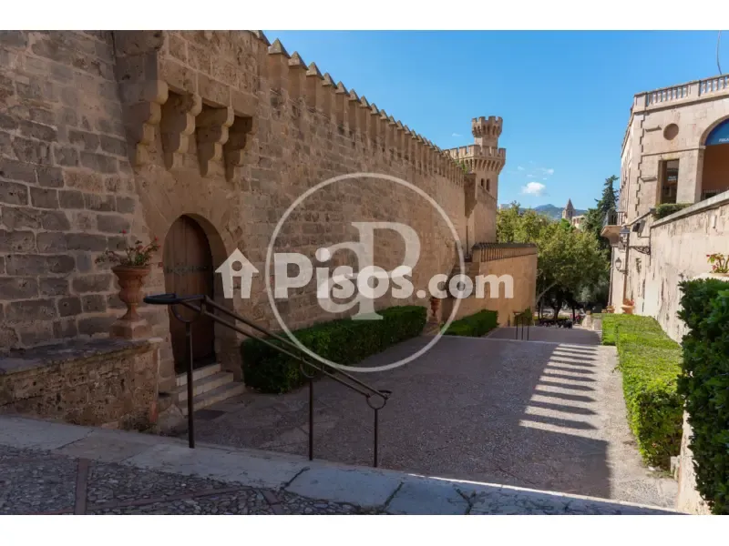Aed - New Flat with Terrace in Palma de Mallorca