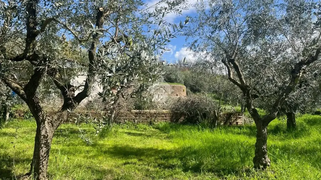 Giardino - Rustic Property with Private Garden in Gallicano Nel Lazio
