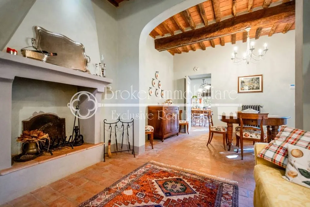 Living Room - Rustic Villa with Olive Grove in Massarosa