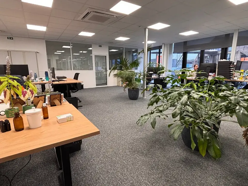 Kabinet - Modern Office with Cafeteria in Pottelberg