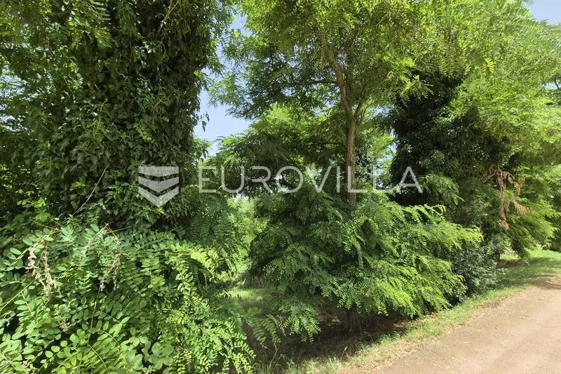 Aed - Building Land with Infrastructure in Tadini, Istria