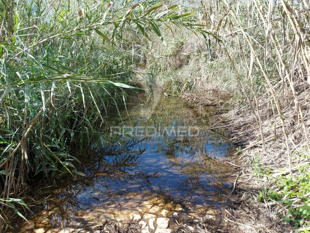 Agricultural Land with Water Source in Silves