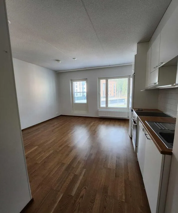 Elutuba - Studio Flat with Balcony in Kuopio