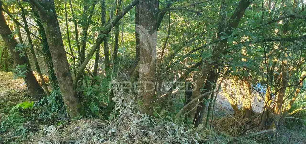 Aed - Urban Plot with River View in Lever
