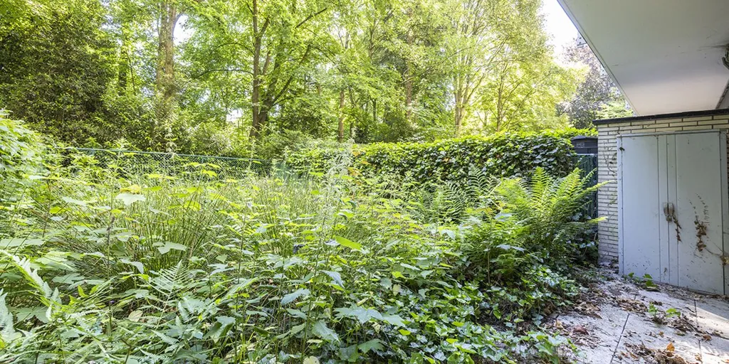 Garden - Ground Floor Apartment with Garden in Edegem