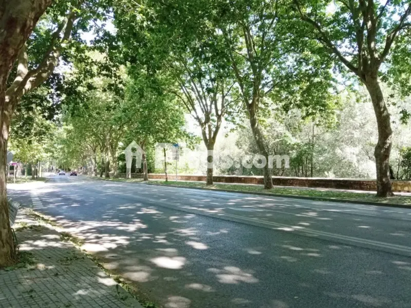 Apartment with Garage on Avenida Palencia
