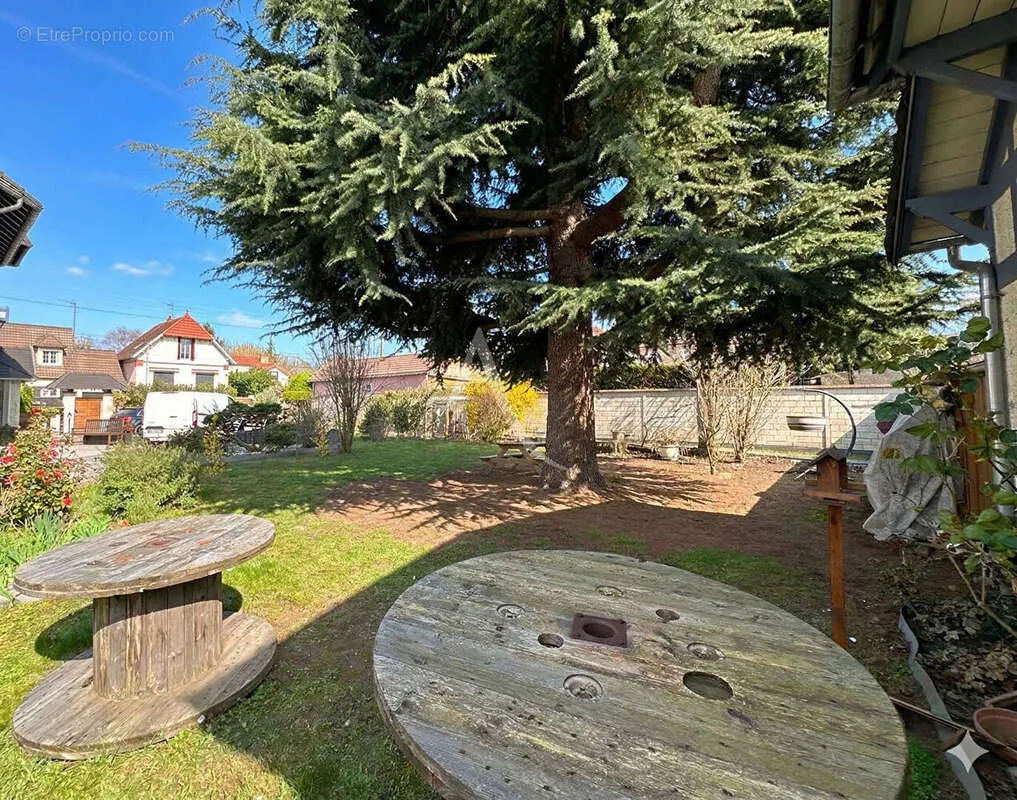 garden