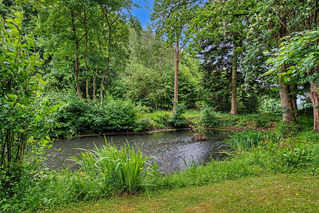 Garden - Villa with Forest View in Faaborg