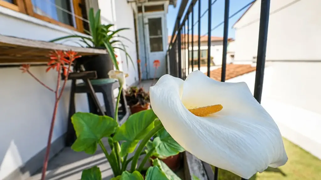 Balcon - Quadrilocale with Balcony and Garage in Certaldo