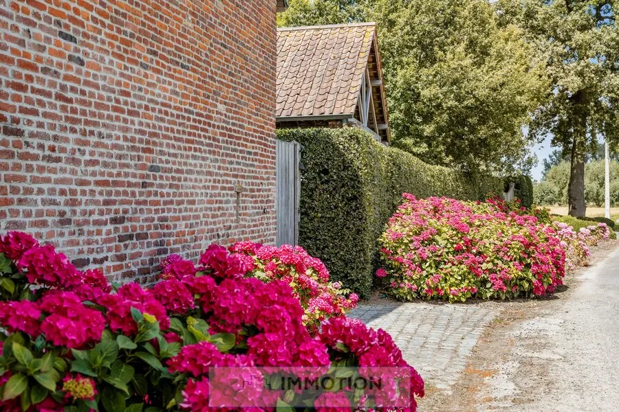 Extérieur - Ferme Rénovée sur Domaine de 7.200 m²