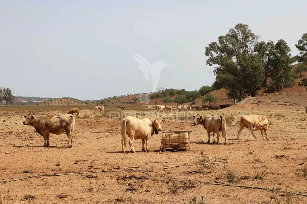 Aed - Development Land with River View in Castro Marim