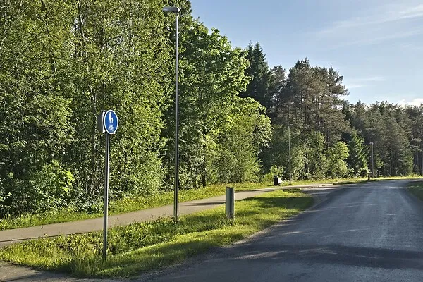 Välivaade - Country Plot with Forest Access in Koppelmaa
