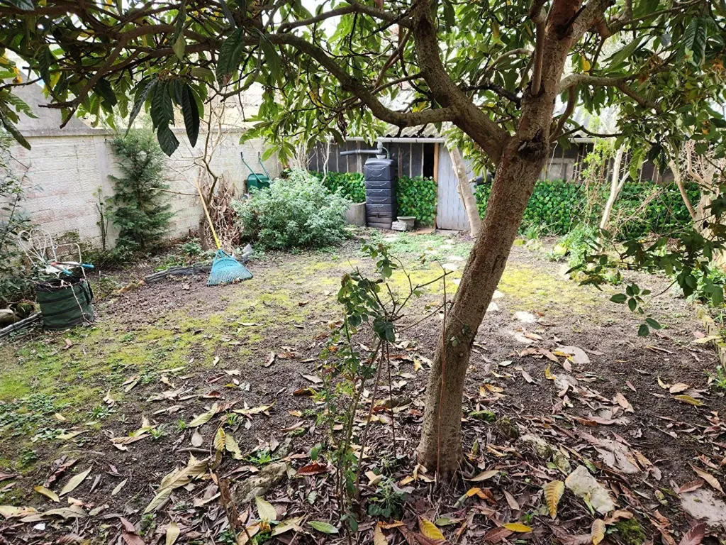 garden
