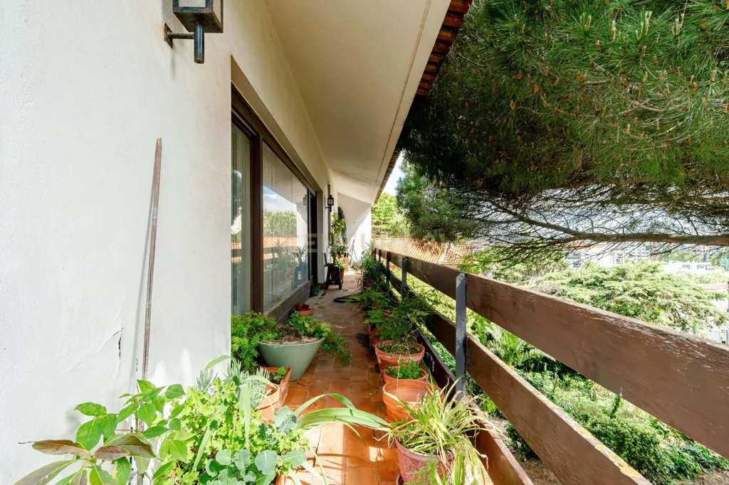 Rõdu - T6+1 House with Garden in Alfragide Norte
