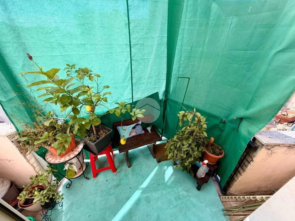 terrace_patio