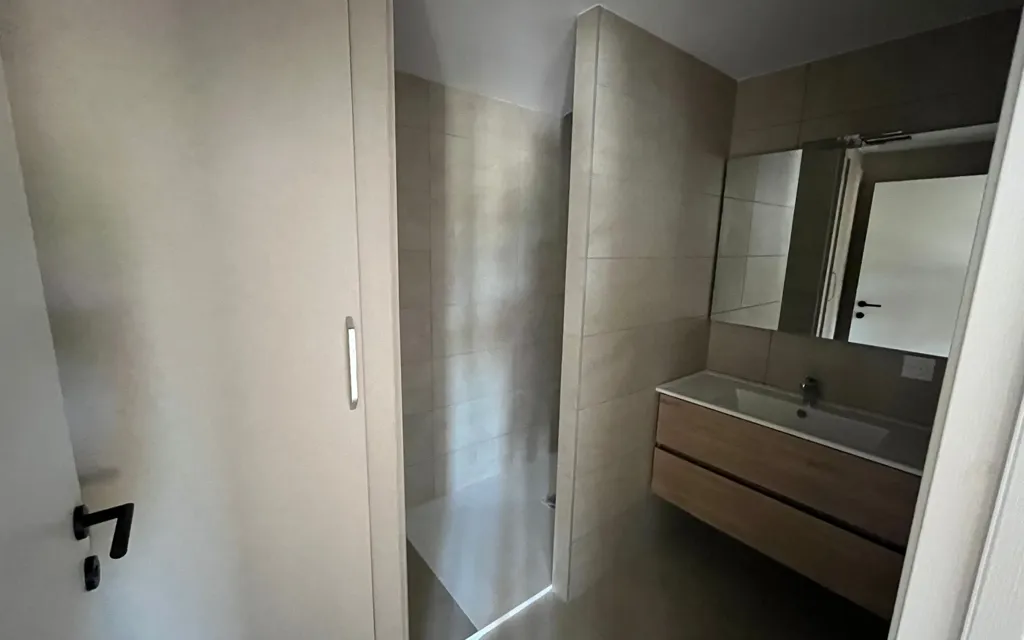 Bathrooms - Renovated Apartment with Balcony in Vienne