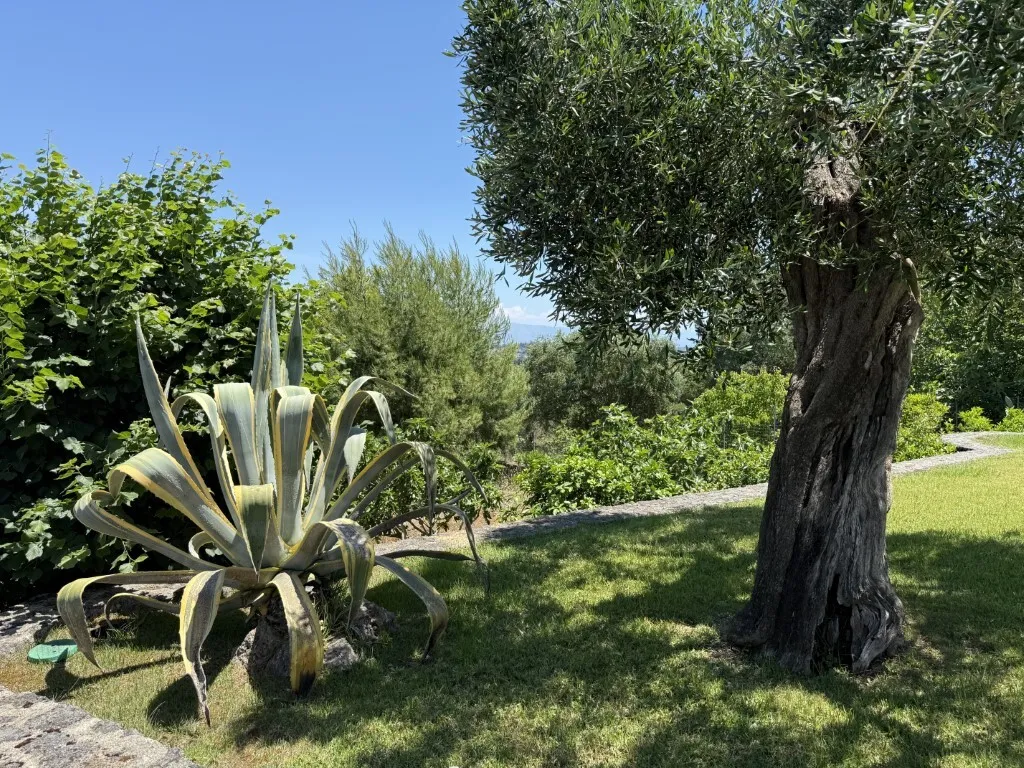 Giardino - 3-Storey Villa with Panoramic Views in Vasilika, Corfu