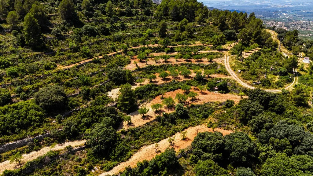 Eco-Resort Platform with DIC in Sierra Engarcerán