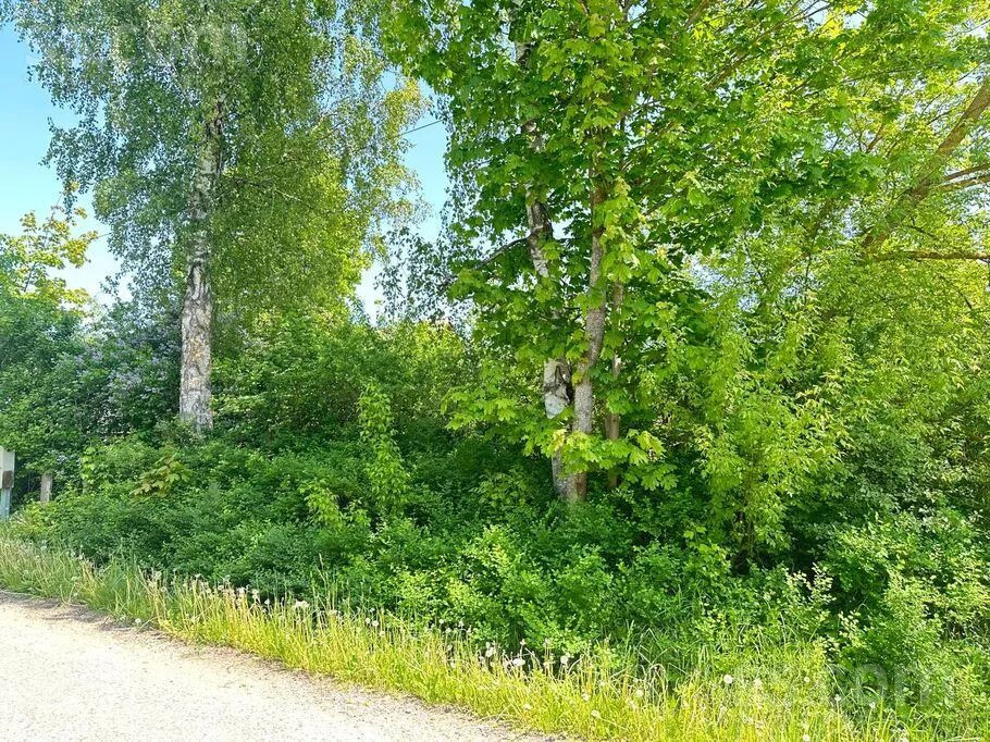 Jardin - House with Lake View in Dagda