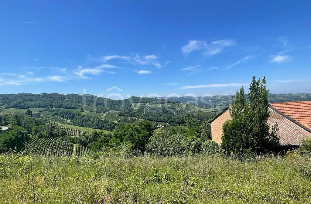Jardin - Rustic Casale with Vineyard Views in Santo Stefano Belbo
