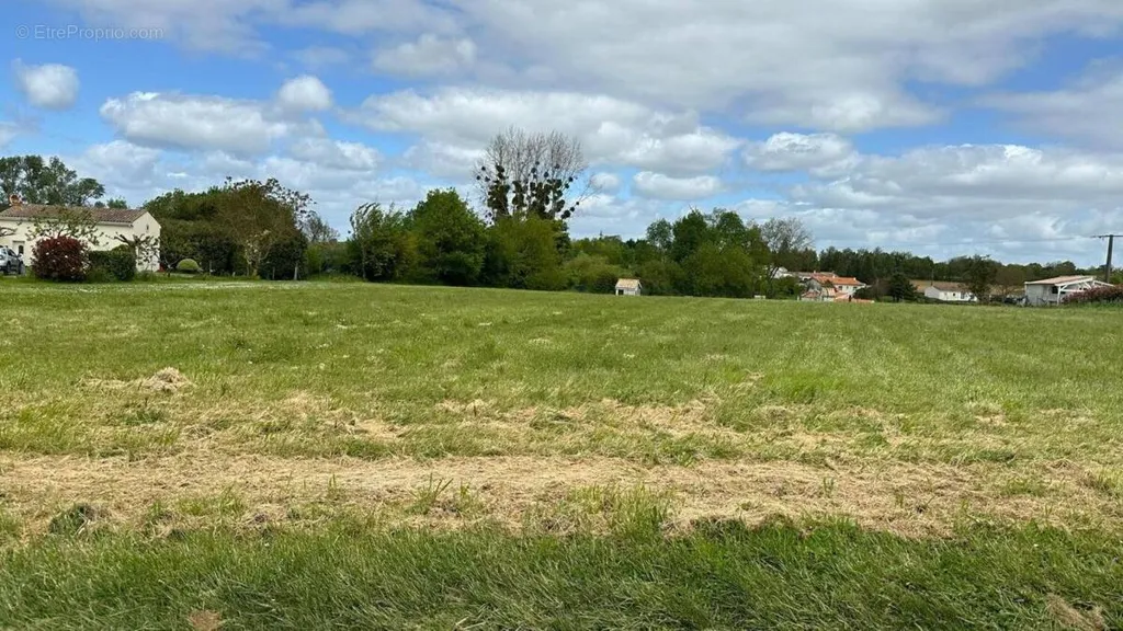 Jardin - Terrain Libre de Constructeur à Pisany