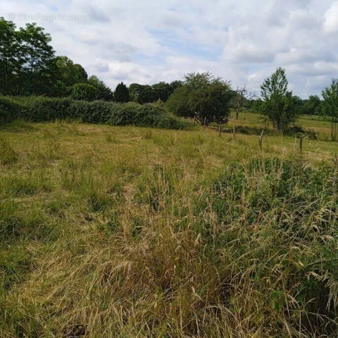 Garden - Constructible Land with Rural Setting near Commenailles