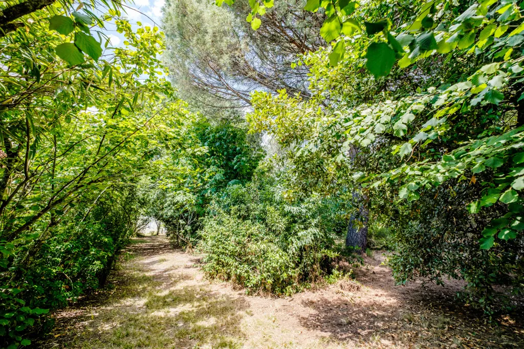 Aed - Stone Villa with Garden in Le Bouscat