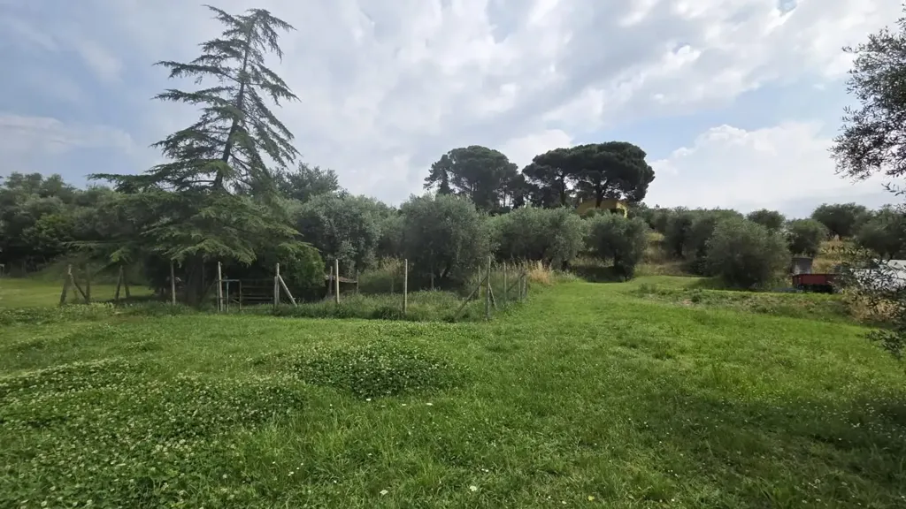 Aed - Rustic Villa with Garden in Montecarlo
