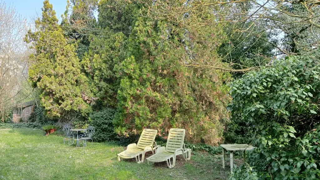 garden