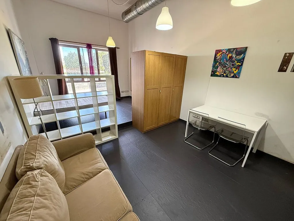 Séjour - Loft with Balcony in Estación-Manantiales