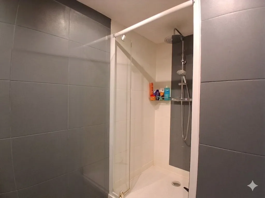 Bagni - Renovated Duplex with Central Location in Saint-Didier-en-Velay