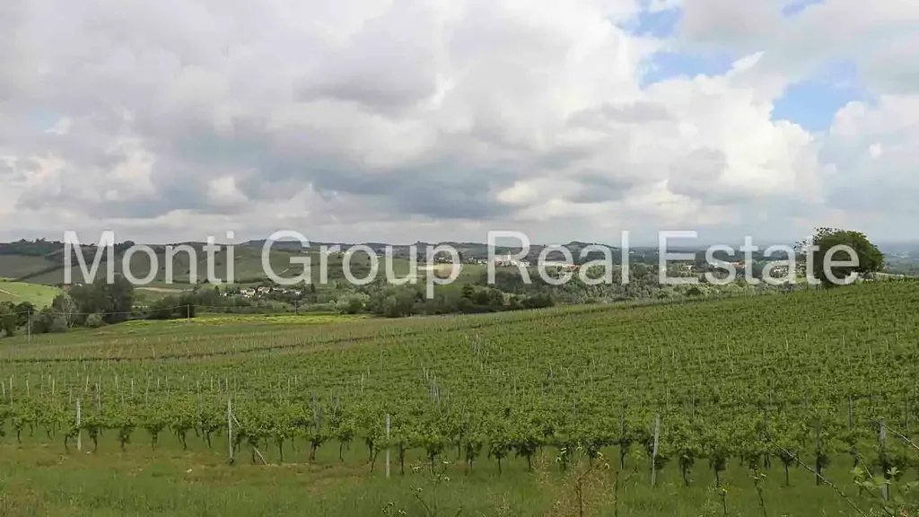 Jardin - Rustic Farmhouse with Vineyard View in Strevi