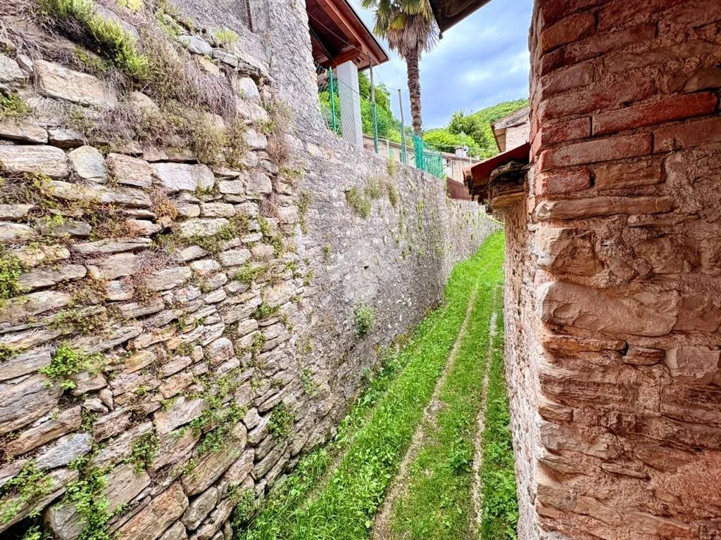 Jardin - Rustic Property with Vineyard View in Valdobbiadene