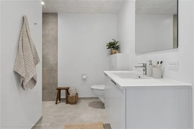 Vannitoad - 115 m² House with Terraces in Tølløse