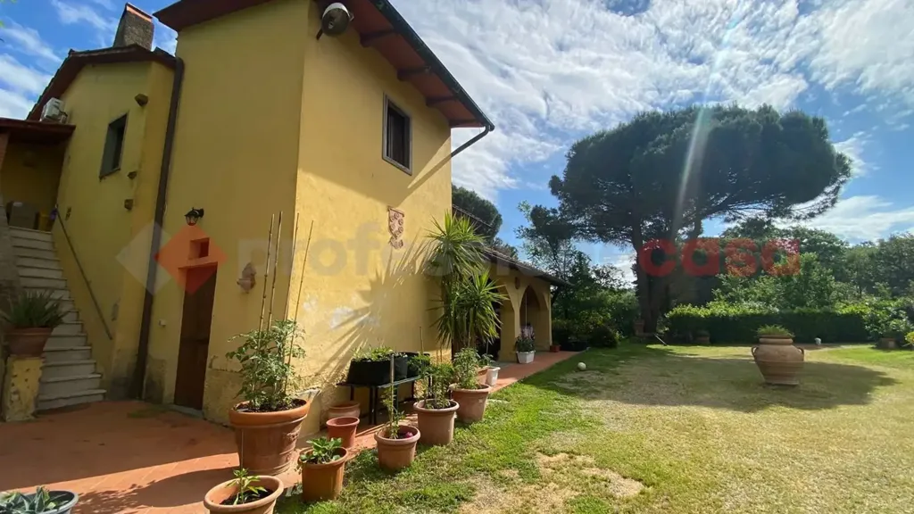Aed - Villa with Olive Grove in Lastra a Signa