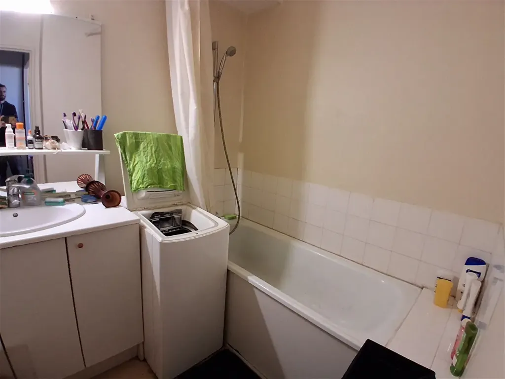 Vannitoad - 1-Bedroom Apartment with Garage in Saint-Étienne