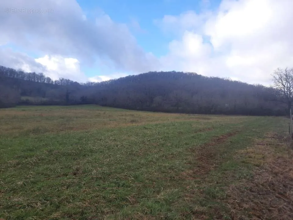 Terrain à Loubressac