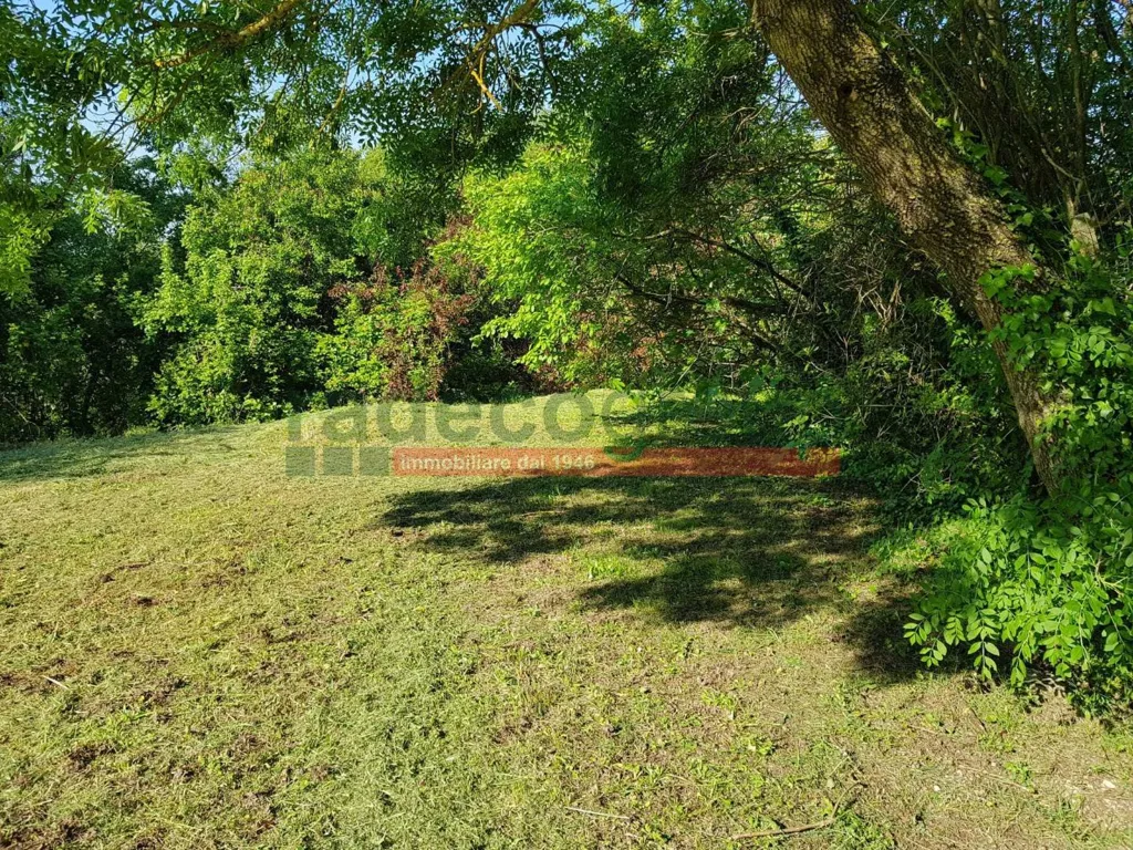 Aed - Tuscan Villa with Garden in Collesalvetti