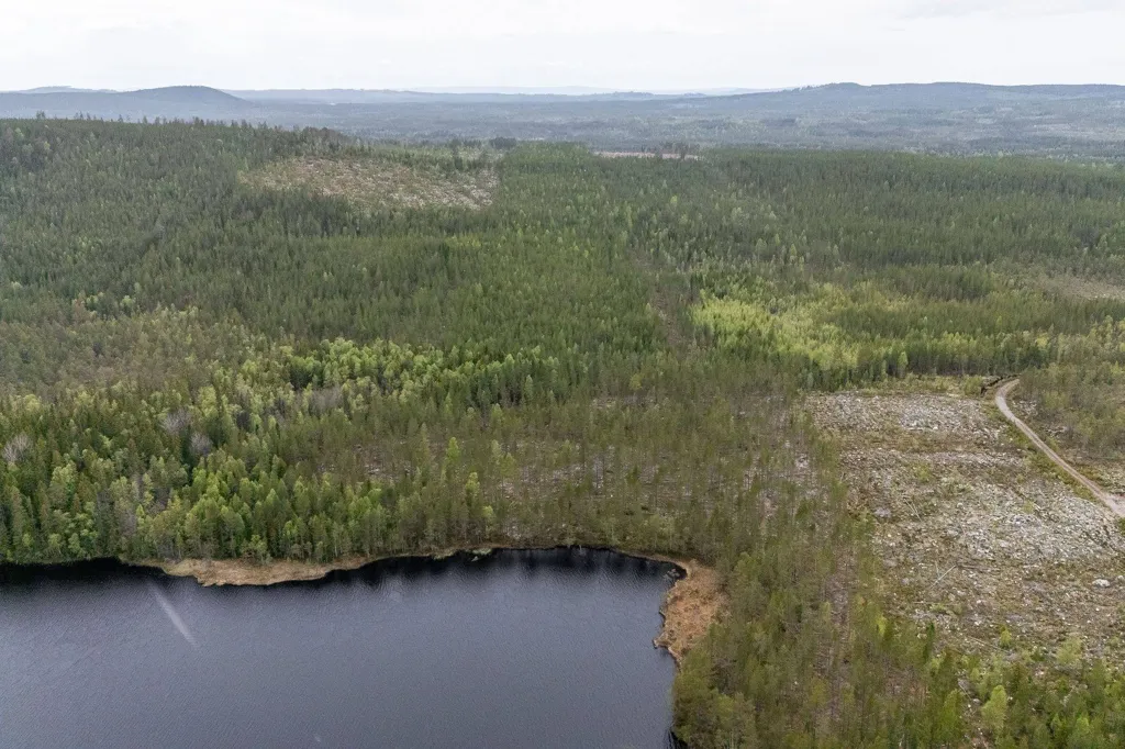 Vue aérienne - Forest Property with Timber in Ljusdal