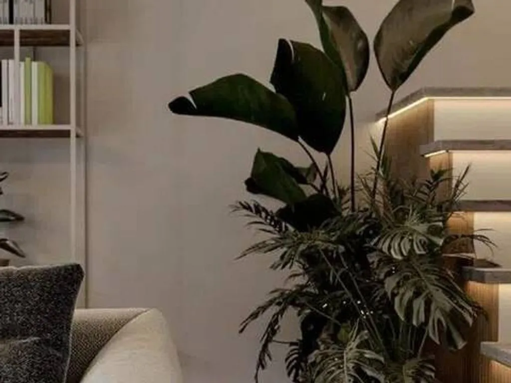 Séjour - Class A+ Villa with Garden in Florence