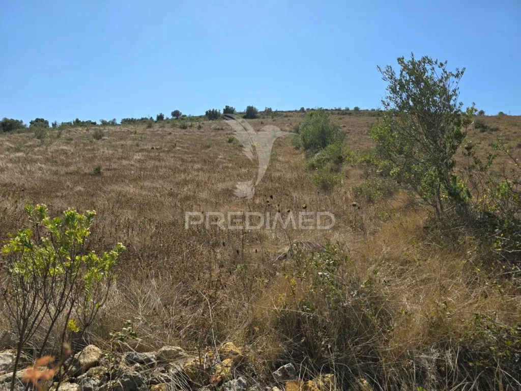 Jardin - Rustic Land with Approved Project in Mafra