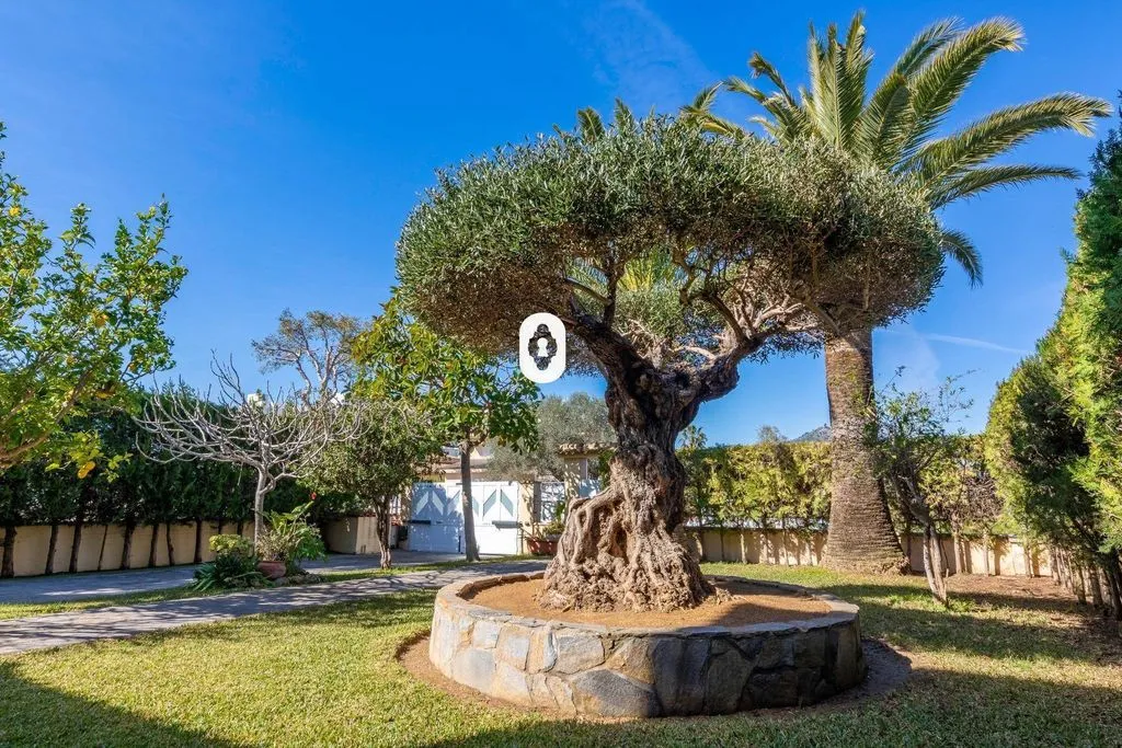 Jardin - Semi-Detached Villa with Pool in Playas de Muro