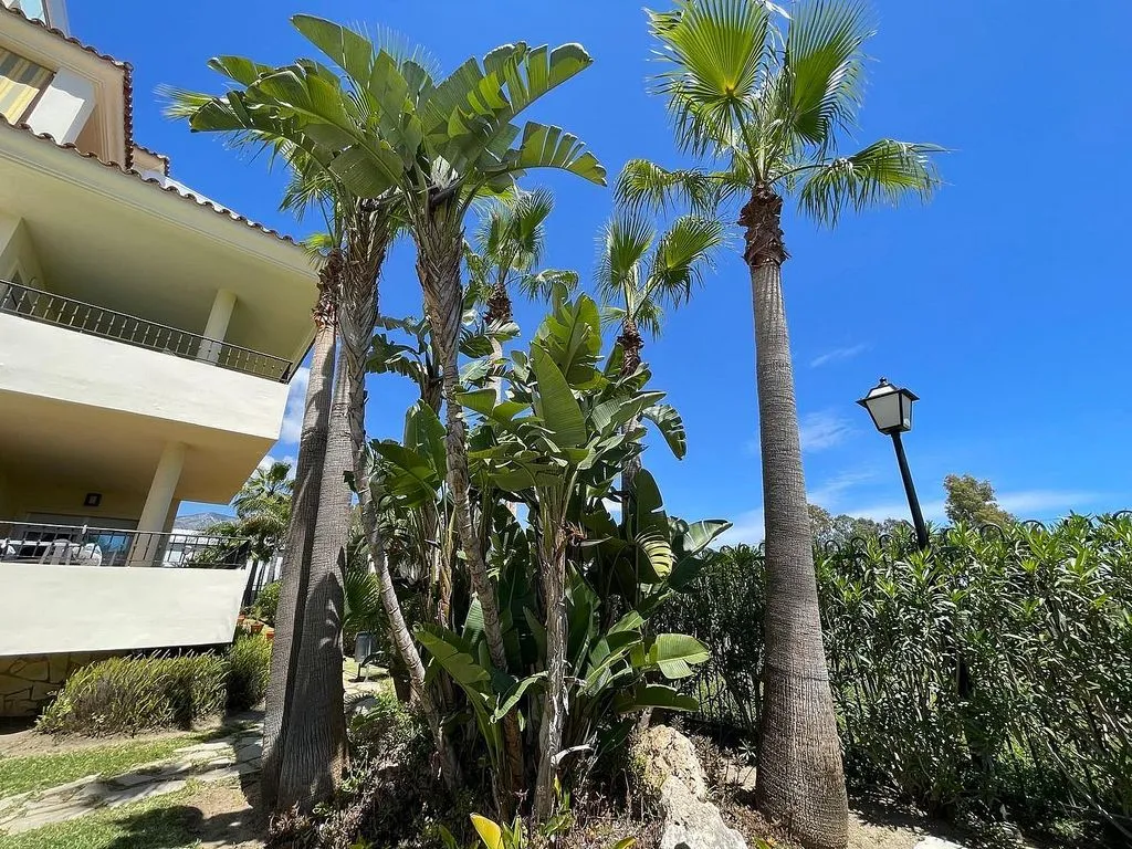Aed - Modern Penthouse with Pool in Mijas Golf