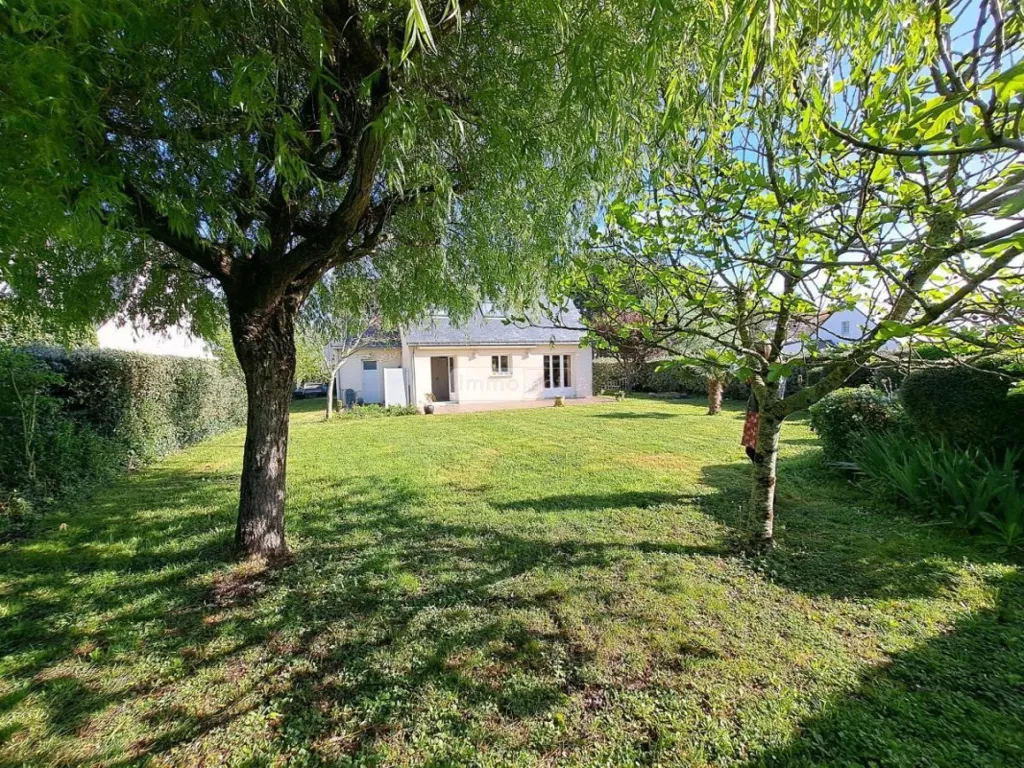 Aed - Contemporary House with South-Facing Terrace