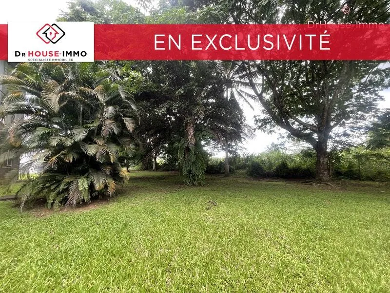 Jardin - Appartement T3 avec Terrasse à Sainte-Rose