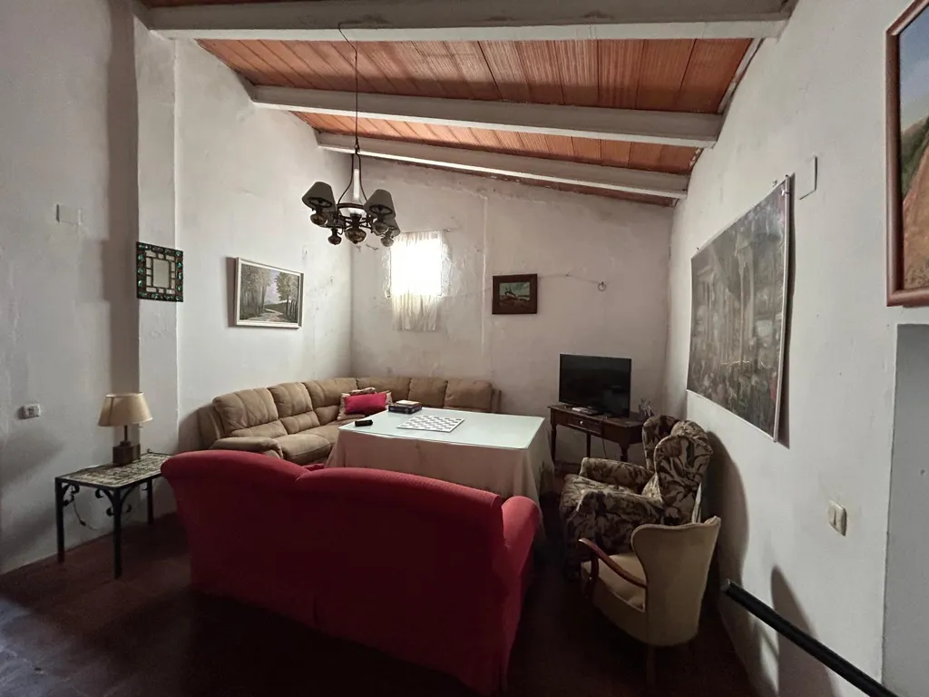 Wohnzimmer - Historic Estate with Vineyard near Badajoz