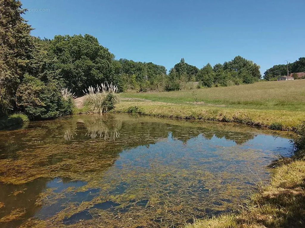 Terrain à Lureuil