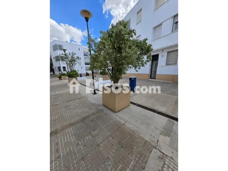 Aed - Spacious Flat with Garden in Carmona